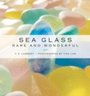 Sea Glass : Rare and Wonderful - eBook