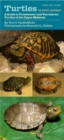 Turtles in Your Pocket : A Guide to Freshwater and Terrestrial Turtles of the Upper Midwest - eBook