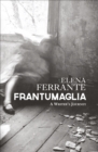 Frantumaglia : A Writer's Journey - eBook