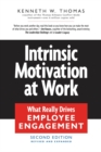 Intrinsic Motivation at Work : What Really Drives Employee Engagement - eBook