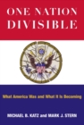 One Nation Divisible : What America Was and What It Is Becoming - eBook