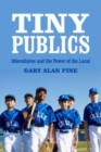 Tiny Publics : A Theory of Group Action and Culture - eBook