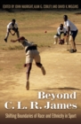 Beyond C. L. R. James : Shifting Boundaries of Race and Ethnicity in Sports - eBook