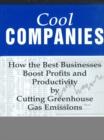 Cool Companies : How the Best Businesses Boost Profits and Productivity by Cutting Greenhouse-Gas Emissions - eBook
