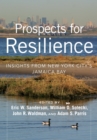 Prospects for Resilience : Insights from New York City's Jamaica Bay - eBook