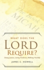 What Does the Lord Require? : Doing Justice, Loving Kindness, and Walking Humbly - eBook