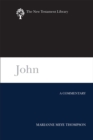 John : A Commentary - eBook