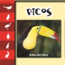 Picos : Beaks and Bills - eBook