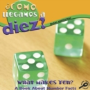 Como llegamos a diez? : What Makes Ten? - eBook