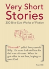 Very Short Stories : 300 Bite-Size Works of Fiction - eBook