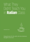 What They Didn't Teach You in Italian Class : Slang Phrases for the Cafe, Club, Bar, Bedroom, Ball Game and More - eBook