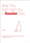 What They Didn't Teach You in Russian Class : Slang Phrases for the Cafe, Club, Bar, Bedroom, Ball Game and More - eBook