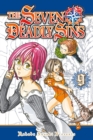 The Seven Deadly Sins 9 - Book