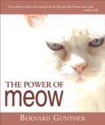 The Power of Meow - eBook