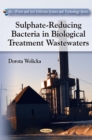 Sulphate-Reducing Bacteria in Biological Treatment Wastewaters - eBook