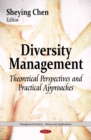 Diversity Management : Theoretical Perspectives and Practical Approaches - eBook
