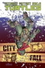 Teenage Mutant Ninja Turtles Volume 6: City Fall Part 1 - Book