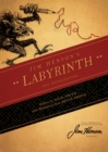 Jim Henson's Labyrinth: The Novelization - eBook