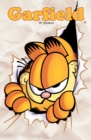 Garfield Vol. 5 - eBook