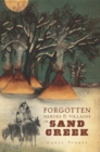 Forgotten Heroes & Villains of Sand Creek - eBook
