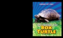 My Friend the Box Turtle - eBook