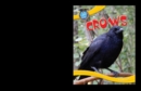 Crows - eBook