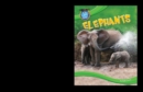 Elephants - eBook