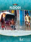 Flood! - eBook
