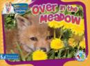 Over in the Meadow - eBook