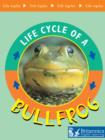 Bullfrog - eBook