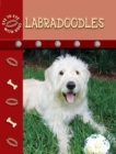 Labradoodles - eBook
