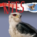 Kites - eBook