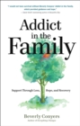 Addict In The Family : Support Through Loss, Hope, and Recovery - Book