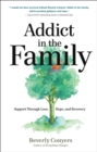 Addict in the Family : Support Through Loss, Hope, and Recovery - eBook