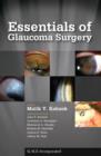 Essentials of Glaucoma Surgery - eBook