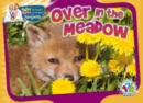 Over In The Meadow - eBook