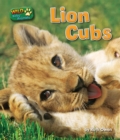 Lion Cubs - eBook