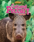 Collared Peccary - eBook