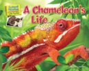 A Chameleon's Life - eBook