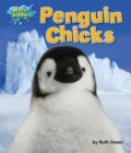 Penguin Chicks - eBook