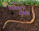 Inside the Worm's Hole - eBook