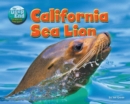 California Sea Lion - eBook