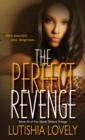 The Perfect Revenge - eBook