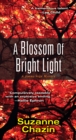 A Blossom of Bright Light - eBook