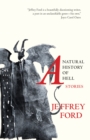 A Natural History of Hell : Stories - eBook