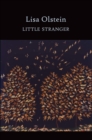 Little Stranger - eBook