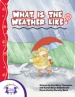 What Is the Weather Like? - eBook