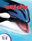 Know-It-Alls! Whales - eBook