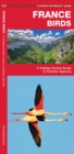 France Birds : A Folding Pocket Guide to Familiar Species - Book