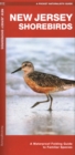 New Jersey Shorebirds : A Waterproof Folding Guide to Familiar Species - Book